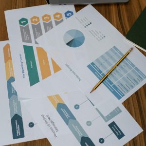 Overhead view of project management documents and charts on a desk with a pencil.
